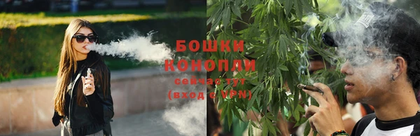 твердый Аркадак