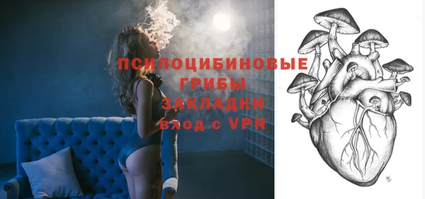 герыч Арсеньев