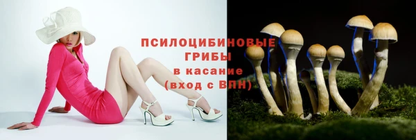 spice Киренск