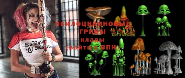 герыч Арсеньев