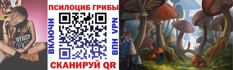 Галлюциногенные грибы прущие грибы купить Салаир